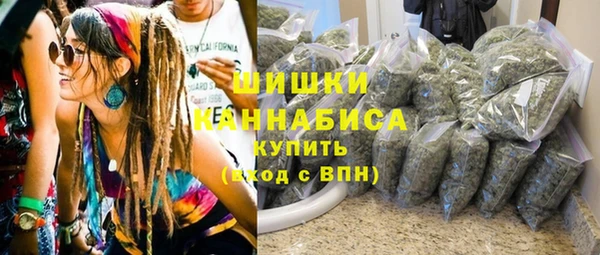 спайс Сясьстрой