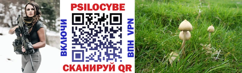 мега маркетплейс  Горнозаводск  Галлюциногенные грибы GOLDEN TEACHER 